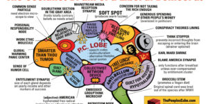 The Socialist Brain of a Liberal Democrat.