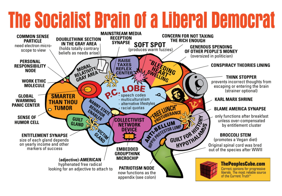 The Socialist Brain of a Liberal Democrat.