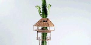 Miniature Tree Houses Make Houseplants Way More Interesting