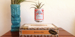 Hover plant made with a steel beer can, cigar box, and a magnet