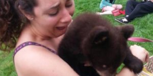 Play with the baby bear, they said…
