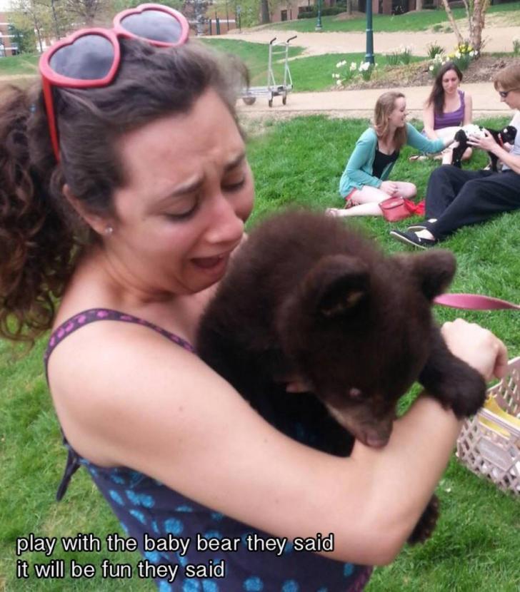 Play with the baby bear, they said...