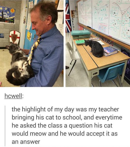 The answer is meow.