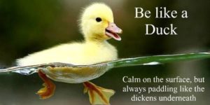 Be more like a duck.