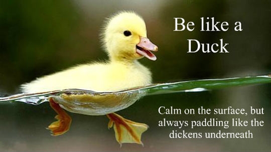 Be more like a duck.