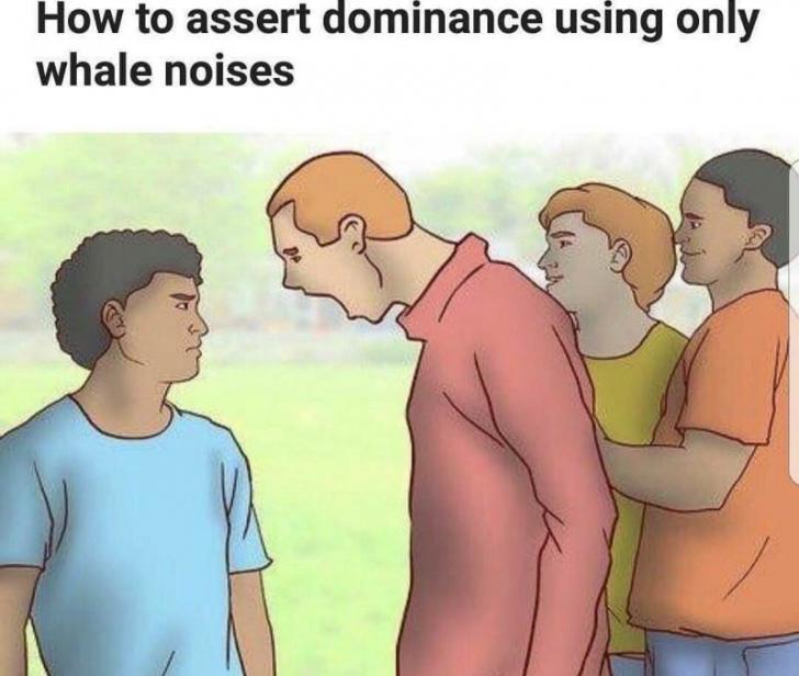 Assert your dominance