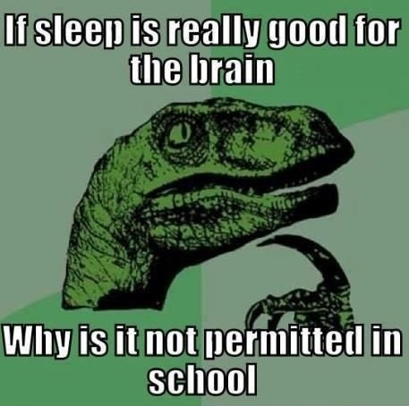 If sleep is good for the brain...