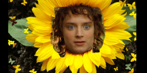 Frodo-synthesis.