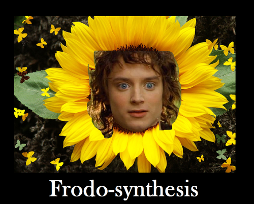 Frodo-synthesis.