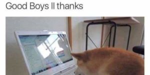Dear Michael Bay…