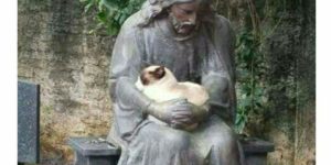 Jesus take the cat.