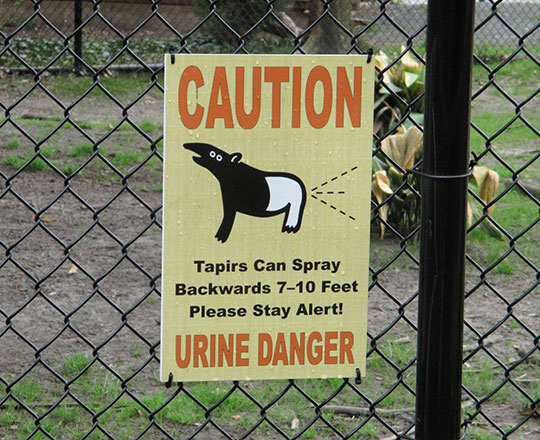 Stay Safe And Have Pun At The Zoo