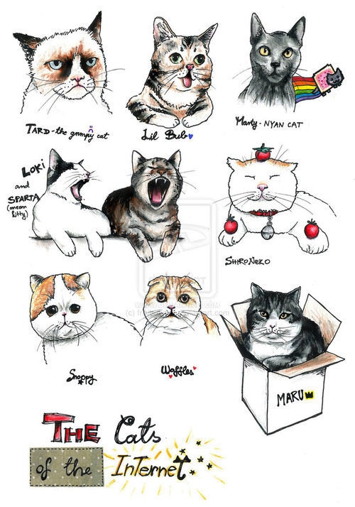 The Cats of the Internet.