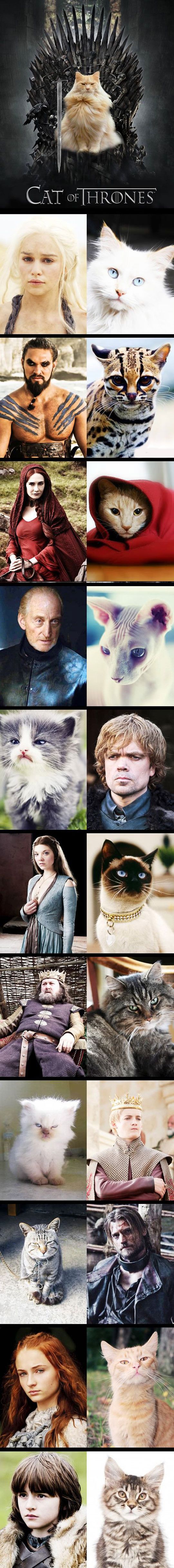 Cat of Thrones.