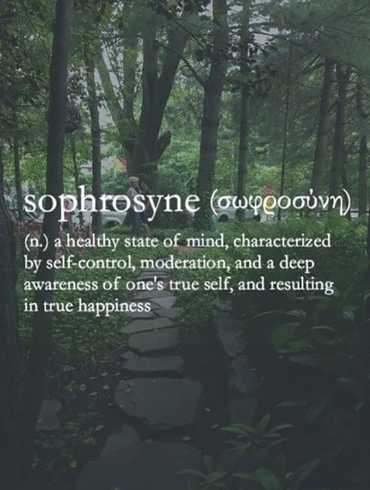 sophrosyne