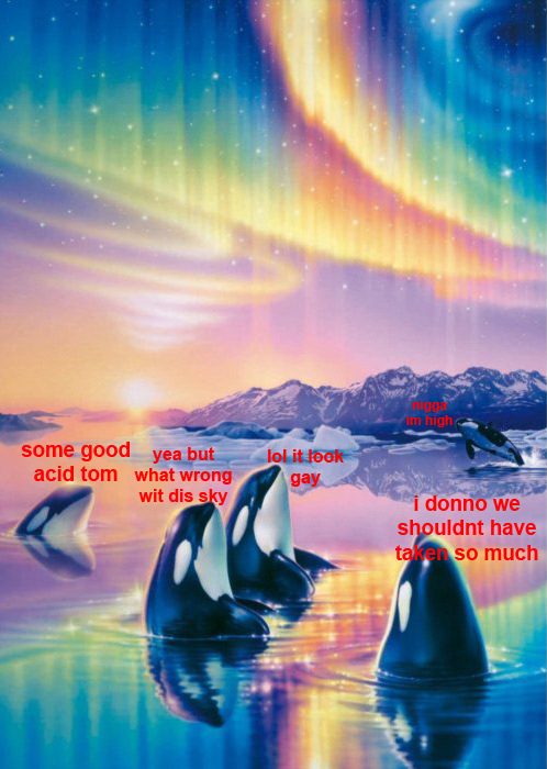 Orca's on acid.