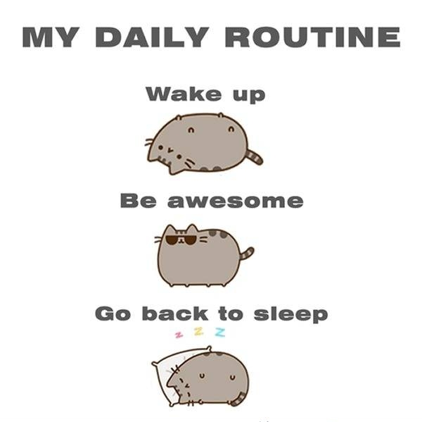 My daily routine.