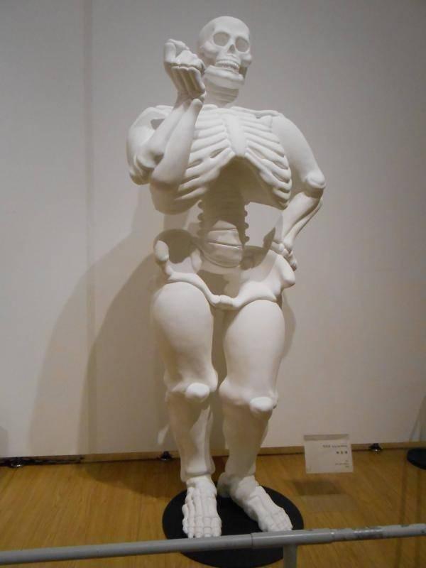 Big-boned skeleton