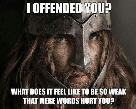 Did I offend you?