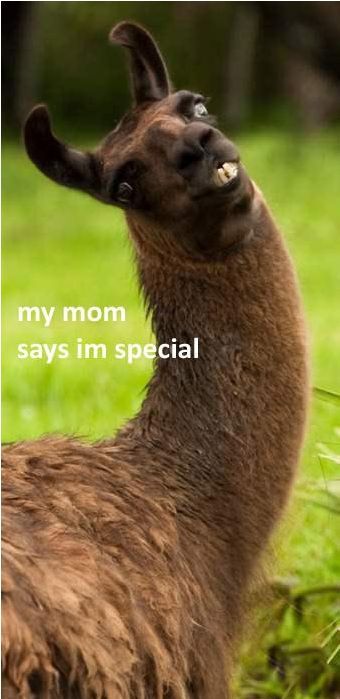 ...but my mom says I'm special.