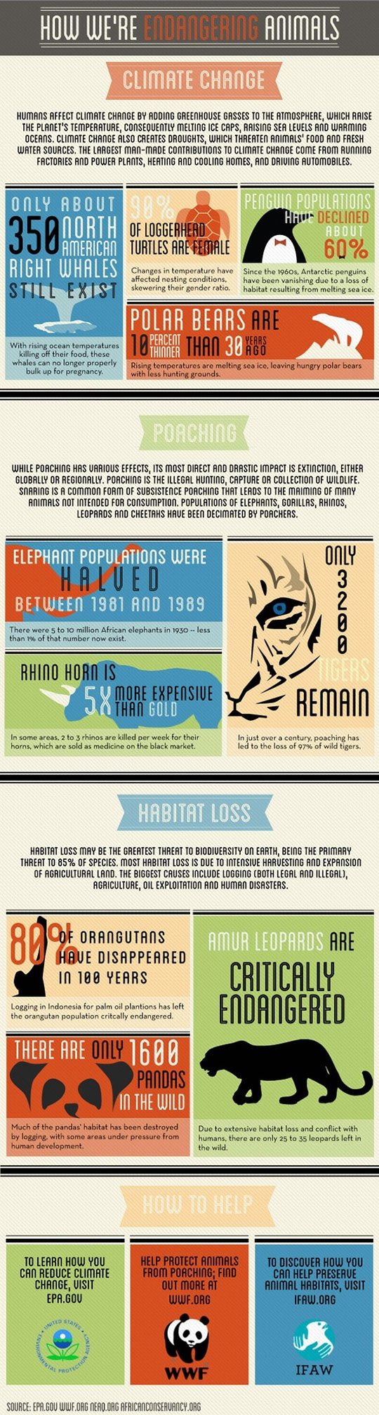 How we're endangering animals.