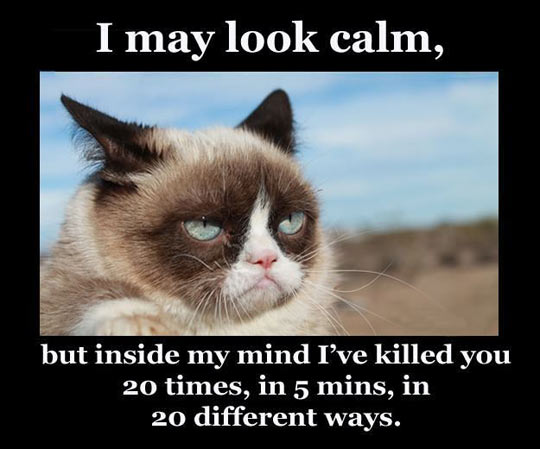 I may look calm...
