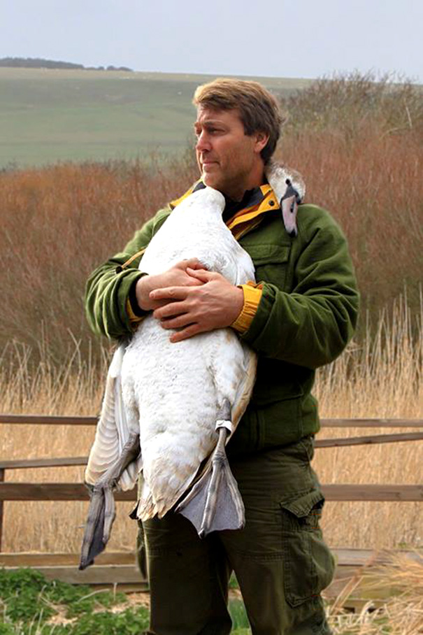 Swan Hugs The Man Who Rescued It By Wrapping Her Neck Around Him