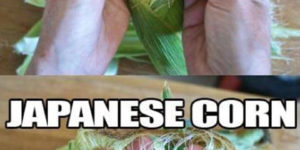 Japanese corn.