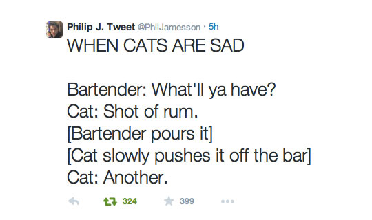 So, A Cat Walks Into A Bar