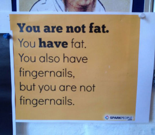 You Are Not Fat