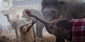 A man and his elephant.