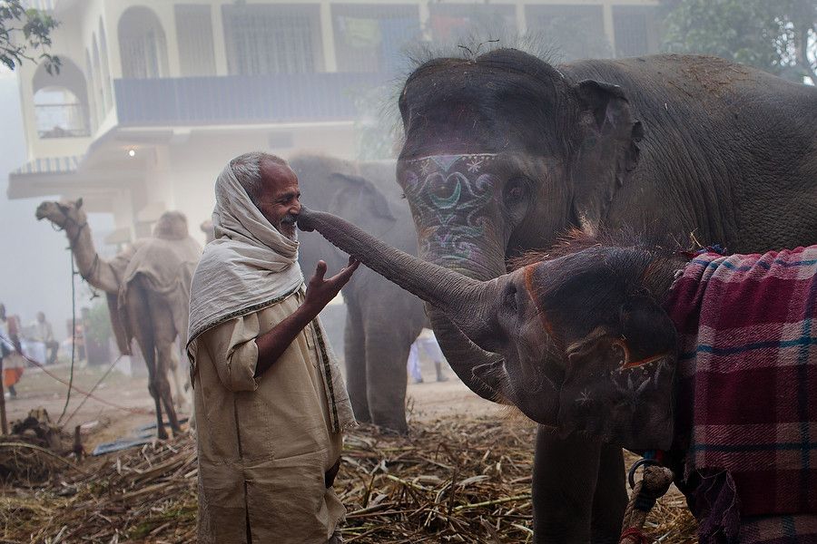 A man and his elephant.