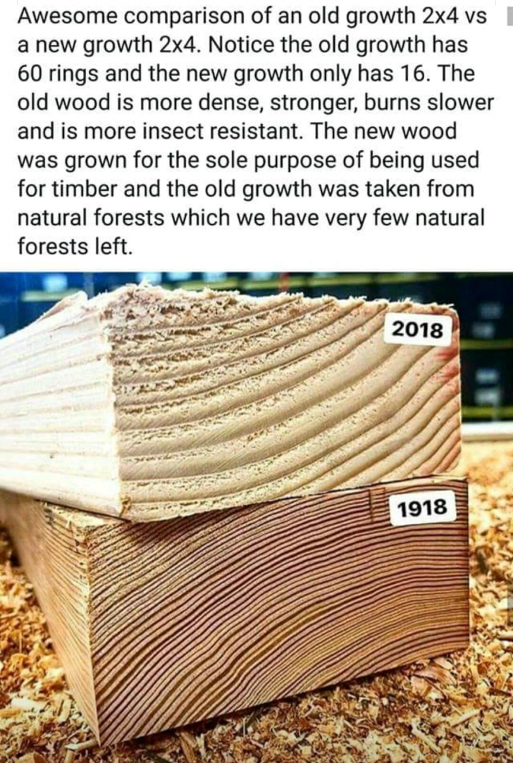 Old growth timber versus new growth