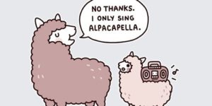 I only sing Alpacapella.