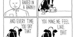 Were you raised in a barn?
