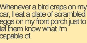 Whenever a bird craps on my car…