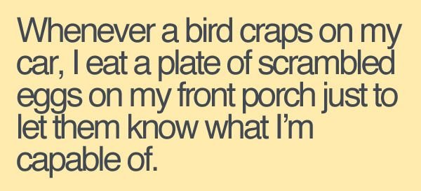 Whenever a bird craps on my car...