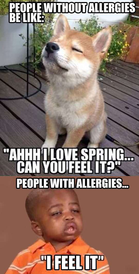 People without allergies...