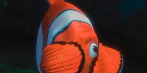 I learned some things about clown fish today…