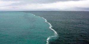 The North Sea and The Baltic Sea meeting.