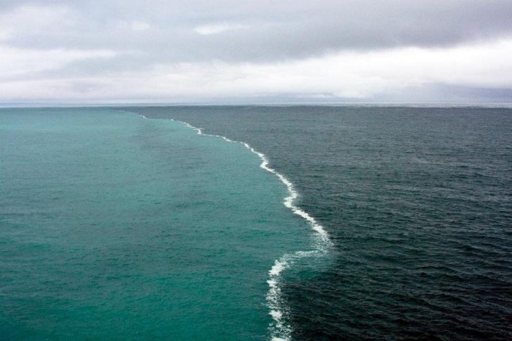 The North Sea and The Baltic Sea meeting.