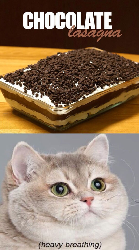 Chocolate lasagna.