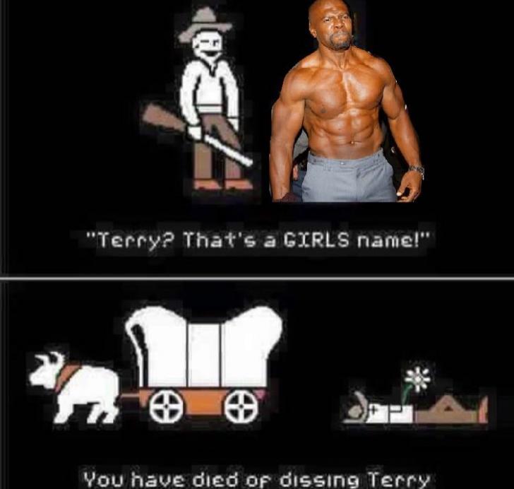 Don't diss Terry