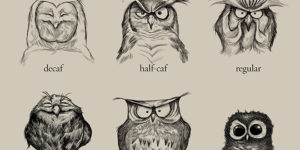 Caffeinated Owl Chart