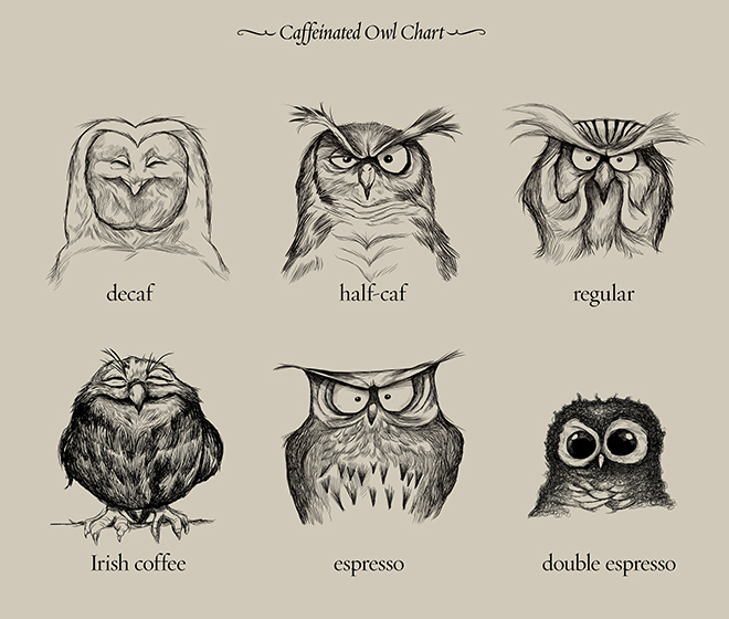 Caffeinated Owl Chart