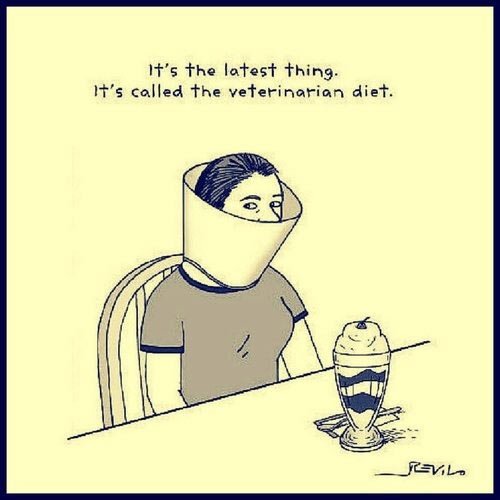 The latest diet.