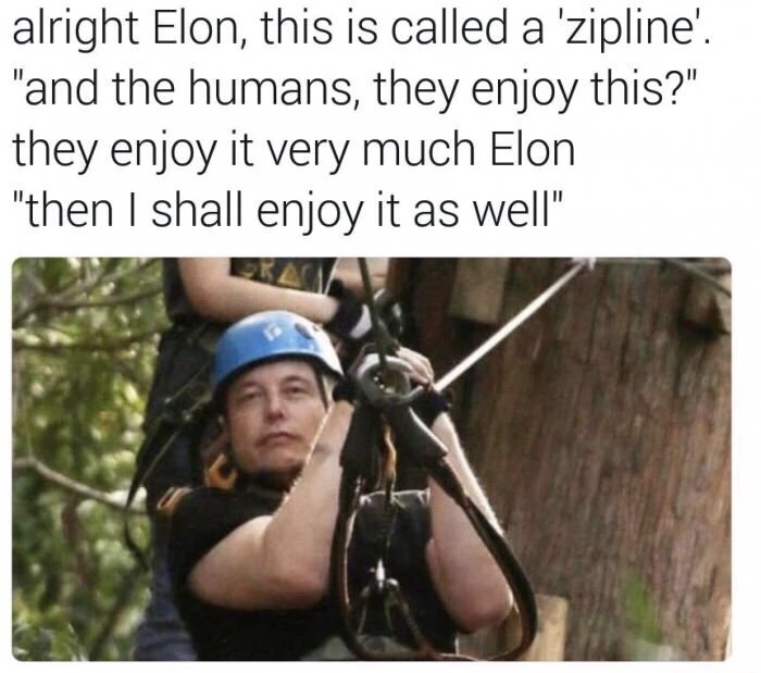 Oh Elon. Silly robet.