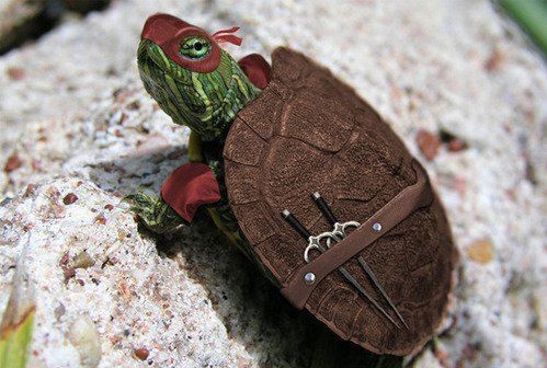 Mutant teenage turtle ninja.