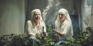 Weed farming nuns look like an accidental renaissance painting