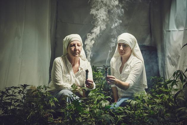 Weed farming nuns look like an accidental renaissance painting